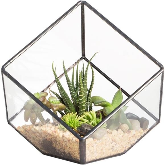 NCYP 3.93 Inches Geometric Glass Terrarium, Small Inclined Cube Clear - Picture 1 of 7